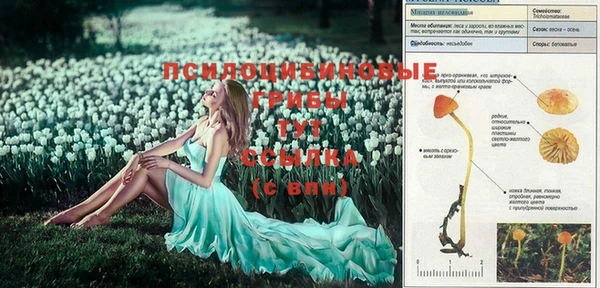 кокаин колумбия Абинск