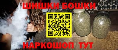 индика Кузнецк