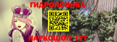 индика Кузнецк