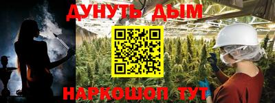 прущие крисы Кудрово