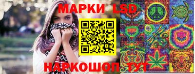 индика Кузнецк