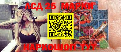 индика Кузнецк