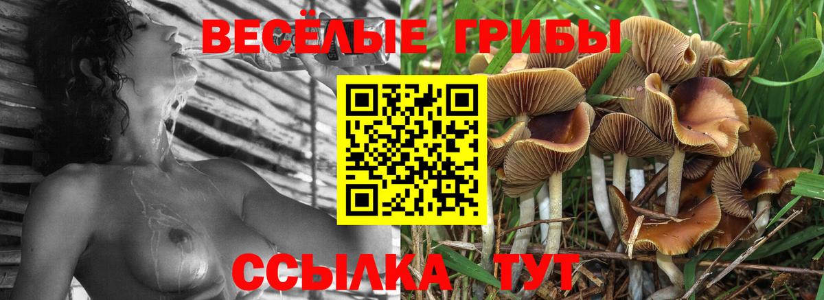 Псилоцибиновые грибы мухоморы Шахты
